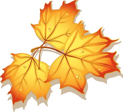 Осенний кленовый лист ПНГ на Прозрачном Фоне • Скачать PNG Осенний ...