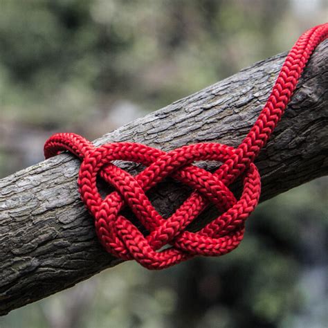 Handfasting Ceremony Stories Ideas And Real Life Examples