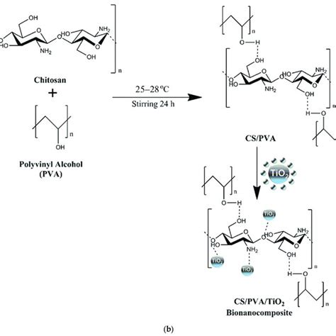 Probable Interaction Of A ZnO NPs And B TiO 2 NPs With CS PVA