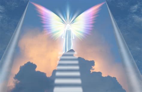 types  spirit guide helping  spirit   spirit