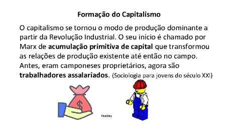 SOCIOLOGIA CAROLINE BLUM 1 SRIE O CAPITALISMO E