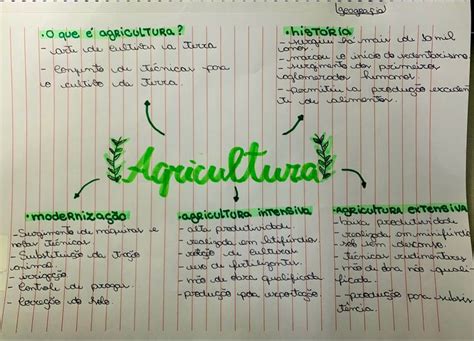 Mapa Mental Sobre Agricultura Para Enem Mapas Mentais Faculdade De