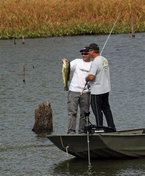 how to hold bass 7