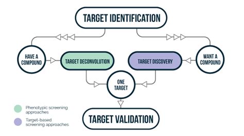 Drug Discovery Target Identification