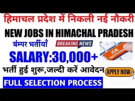 Latest Jobs 2023hp Job Vacancy 2023hp Job Alerts 2023 Free Job