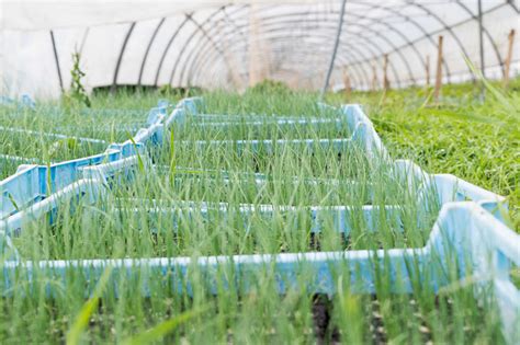 Vincent Gay Bugey C T Fermes