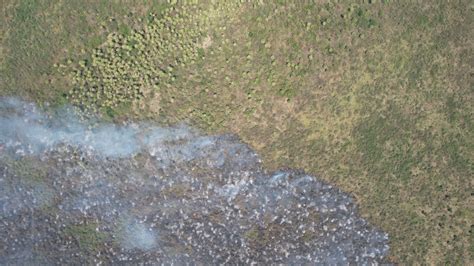 Bombeiros combatem três novos focos de incêndio no Pantanal em MS