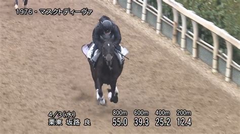 【阪神牝馬ステークス2024】追い切り・コメント動きからレースを紐解く