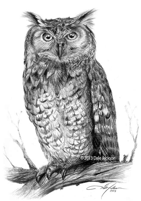 Dale Jackson - Eagle Owl drawing