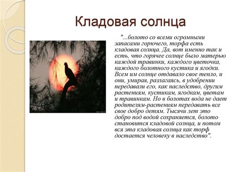 Клюква. Кладовая Солнца - презентация онлайн