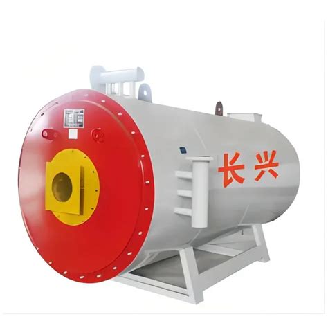 Shandong Changxing New Energy Co Ltd Steam Boiler Steam Generator