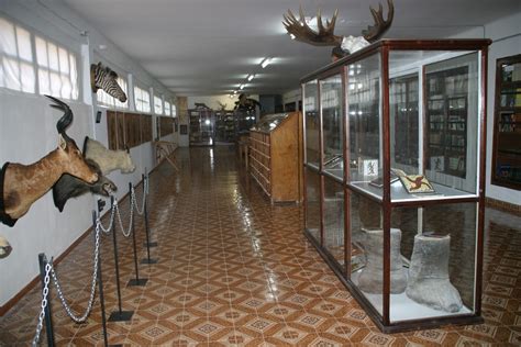 Museo del Carmen Se prorroga la exposición de los cuatro museos en el