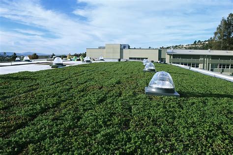 News Liveroof Green Roof Systems