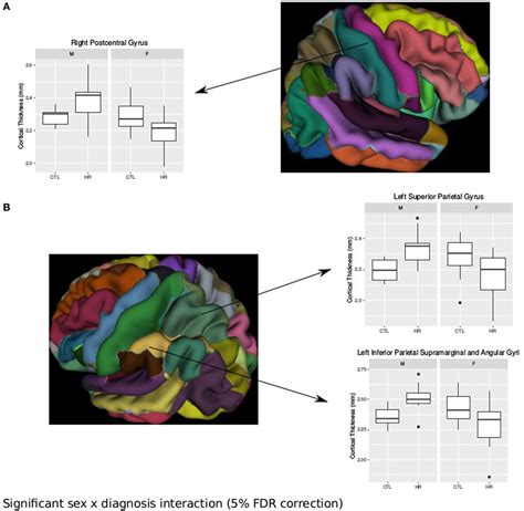 Frontiers Neuroanatomical And Symptomatic Sex Differences In Individuals At Clinical High Risk