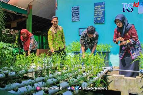 Menengok Urban Farming Smp Negeri Semarang Terbaik Di Kota Semarang