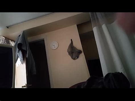 Christmas Leaking XVIDEOS