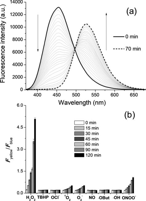 A Twophoton Ratiometric Fluorescent Probe For Imaging Of Hydrogen