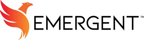 emergent llc omnia partners public sector
