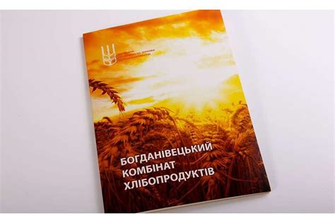 Картонні папки А4 — замовити друк у друкарні Тріада-М - Тріада-М