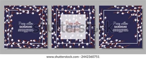 Set Spring Background Pussy Willow Branches Stock Vector Royalty Free 2442360751 Shutterstock