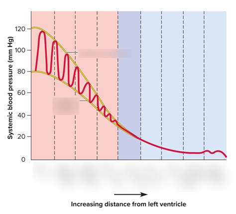 blood pressure diagram diagram quizlet