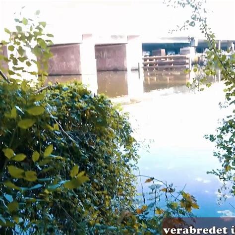 Tattooed Skinny German MILF Picked Up On The Street XHamster