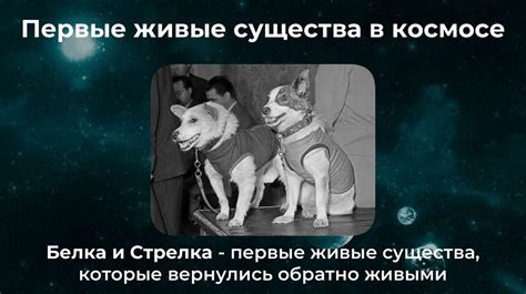 Освоение космоса: прошлое, настоящее, будущее - презентация онлайн