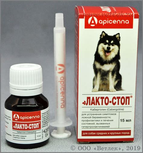 Лакто-Стоп для собак: инструкция и показания к применению, отзывы, цена
