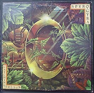 Spyro Gyra Catching The Sun Jazz Vinyl Lp Ebay