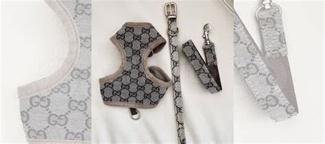 Комплект шлейка для собак Gucci + ошейник Gucci купить в Москве ...