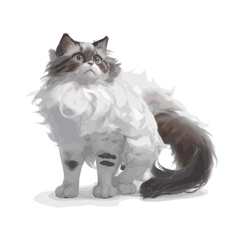Premium Vector | Vectorized ragdoll kitty editable artwork drawing of a