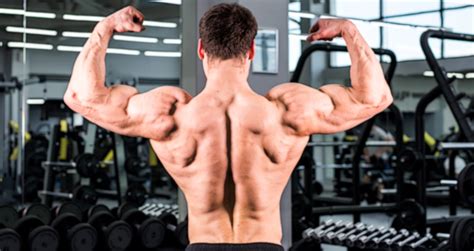 Lower Back Muscles Bodybuilding These 10 Dumbbell Moves Will Build