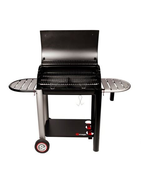 Confirmer Studio Pinte Barbecue Charbon Somagic Autan Mar E Descendante