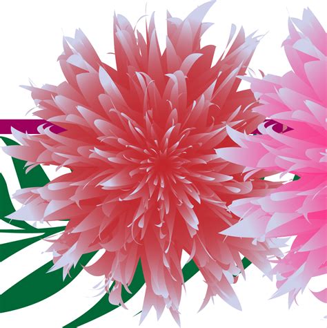 Flower Png Png Basket