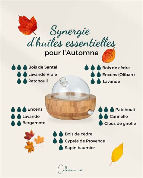 Recettes Dautomne Pour Son Diffuseur Dhuiles Essentielles Essential