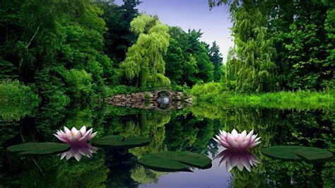デスクトップ壁紙 風景 森林 庭園 反射 草 池 春 バンク 自然保護区 湿地 木 葉 花 工場 フローラ