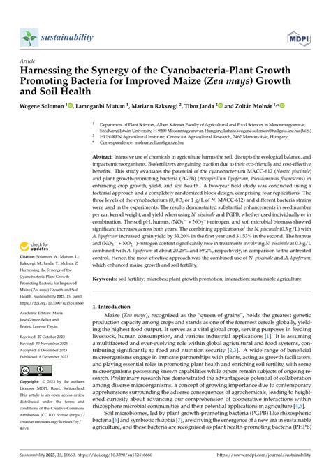 Pdf Harnessing The Synergy Of The Cyanobacteria Plant Growth