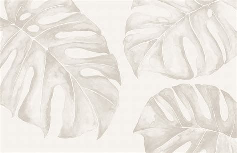 Monstera Leaf Wallpapers - Wallpaper Cave