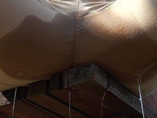 Tr Ng Hoa Sen Xxx Fuck Videos