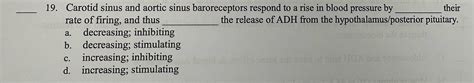 Solved Carotid Sinus And Aortic Sinus Baroreceptors Respond Chegg