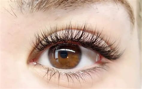 Wispy Lash Extensions 101 Everything You Need To Know