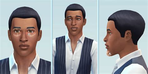 The Sims 4 Assets