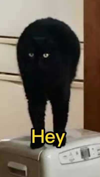 Anal Meme By Anarquer Memedroid