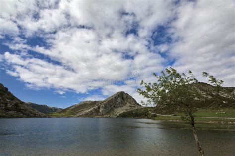 Covadonga Lakes at Picos De Europa Panorama with UGA Stock Image ...