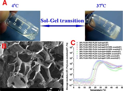 Application of PLGA-PEG-PLGA Hydrogel in 3D Culture - CD Bioparticles 