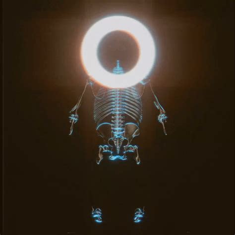 Primal Insight : r/AfterEffects