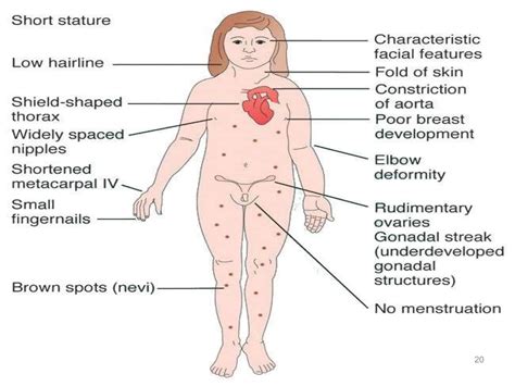Families demand justice as the Dr Shirley Turner case causes fury 19