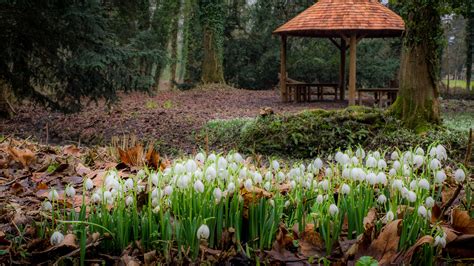 Directions — Lullingstone Castle & The World Garden