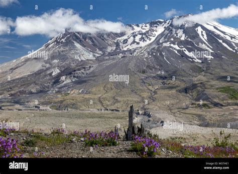 Mt St Helens Eruption Hi Res Stock Photography And Images Alamy