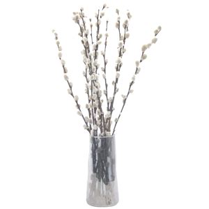 Amazon Skiehan Stems Inches Natural Dried Pussy Willow Branches For Vases